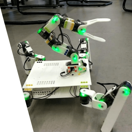 Photo Poppy ErgoDiplo